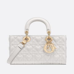 Lady Fashion bag